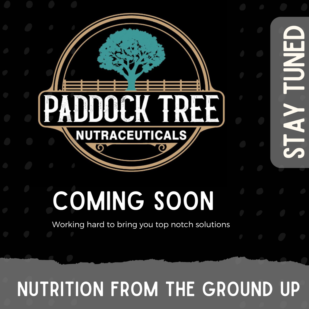 Coming Soon -  Check Back